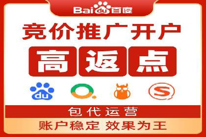 成功案例揭秘：百度竞价代运营如何助力企业腾飞