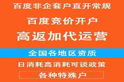 竞价广告赚钱案例：从新手到专家